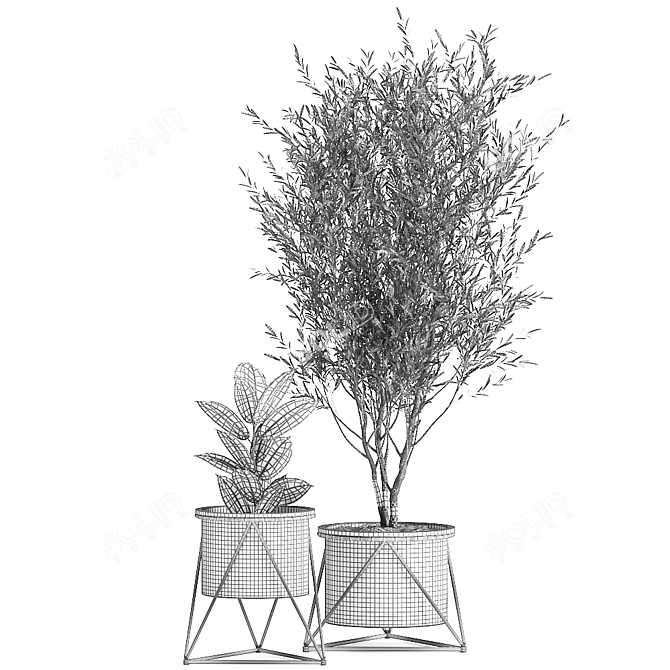 Tropical Plant Assortment - Metal Pot Collection 3D model image 7