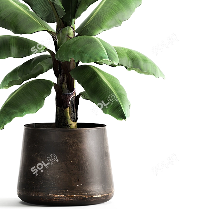 Tropical Oasis in Reclaimed Iron Pot 3D model image 4