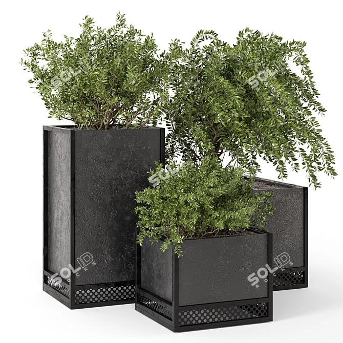 Rustic Outdoor Plant Box Set 3D model image 1