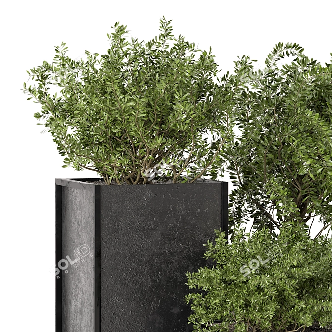 Rustic Outdoor Plant Box Set 3D model image 5