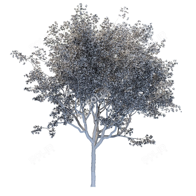 Premium Landscape Tree: 1.1M Poly, 1.7M Verts, Corona Render 3D model image 4