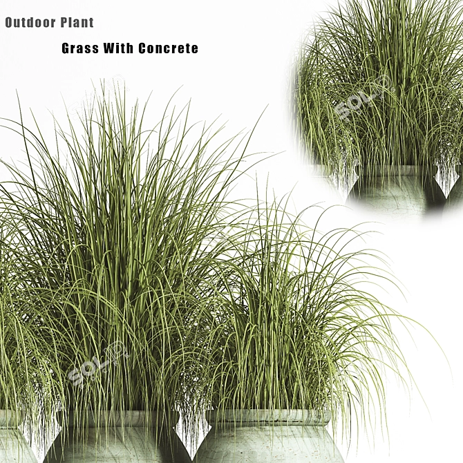 2015 Outdoor Plant Set - Premium Quality 3D model image 2