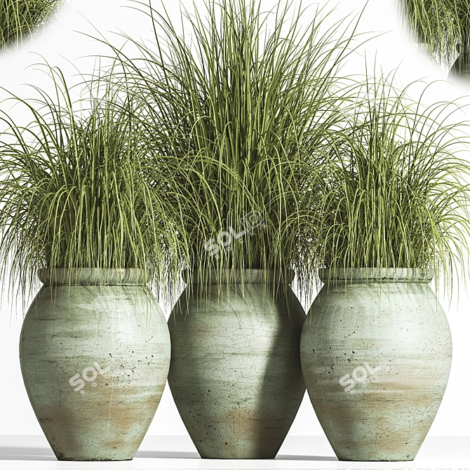 2015 Outdoor Plant Set - Premium Quality 3D model image 3