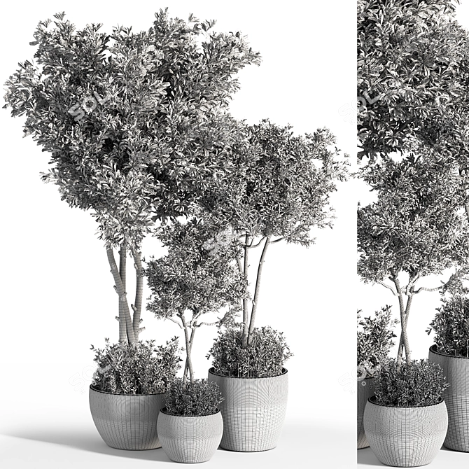 Evergreen Indoor Plant Set 25 3D model image 4