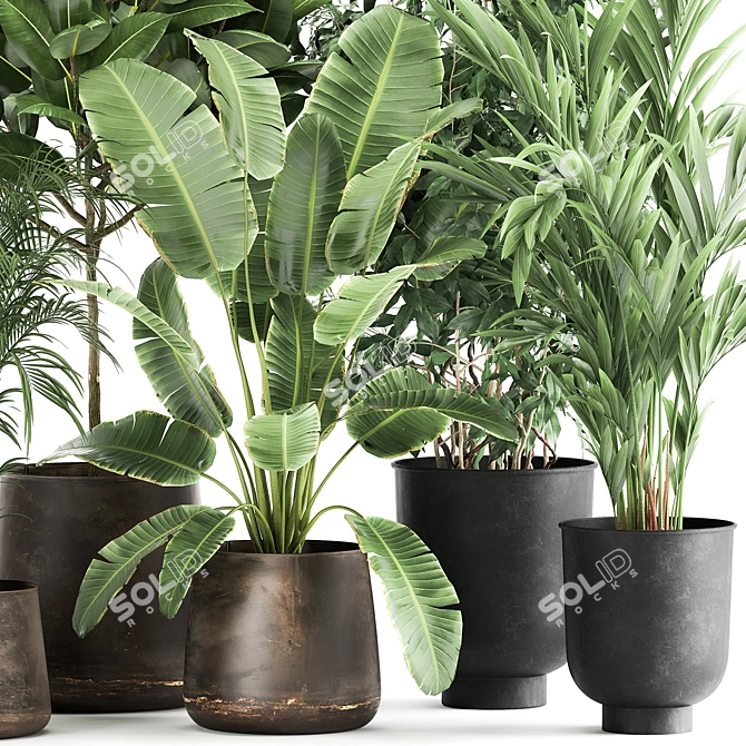 Exotic Plant Collection: Decorative Trees in Copper Pots 3D model image 3