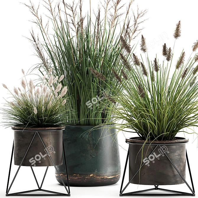 Exotic Plant Collection: Outdoor & Indoor Greenery 3D model image 2