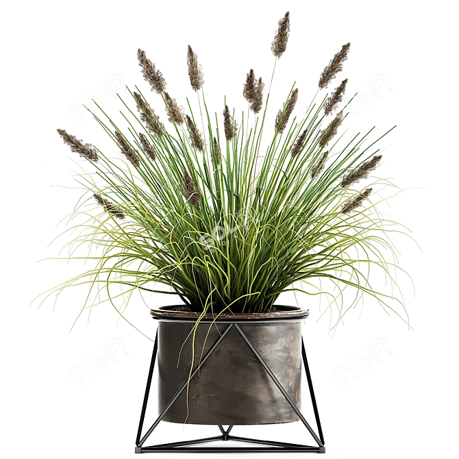 Exotic Plant Collection: Outdoor & Indoor Greenery 3D model image 3