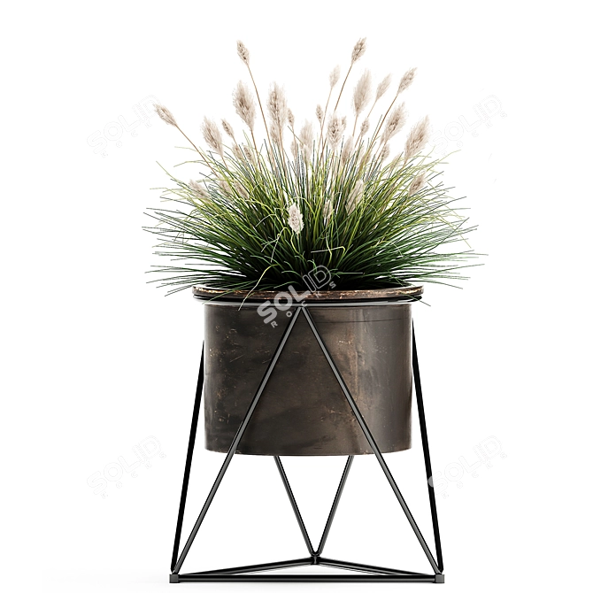 Exotic Plant Collection: Outdoor & Indoor Greenery 3D model image 5