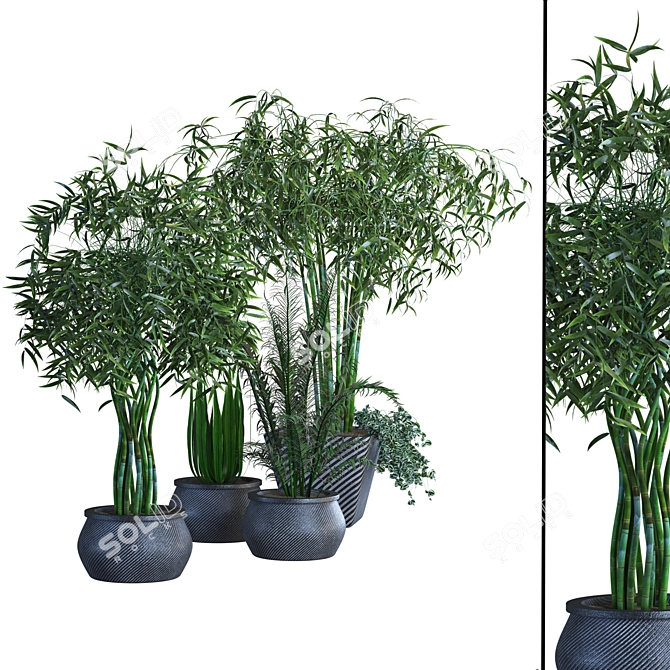 Lush Greenery Collection: Vol 02 3D model image 1