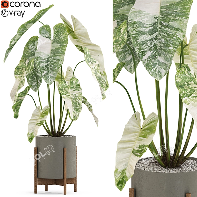 Botanical Oasis Collection 3D model image 1