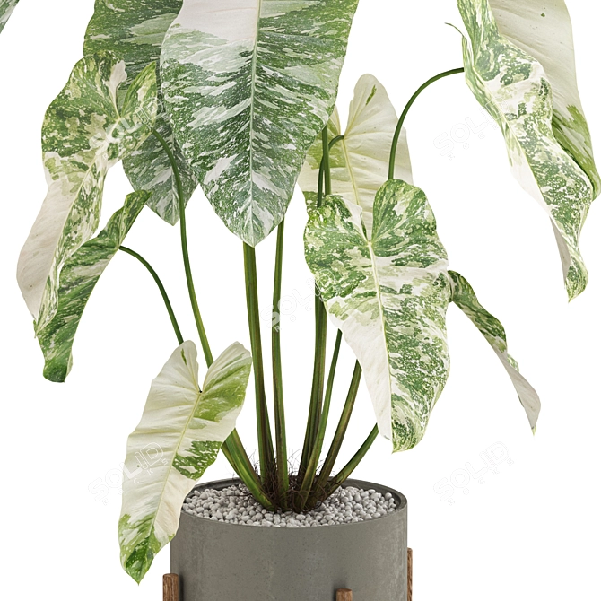 Botanical Oasis Collection 3D model image 2