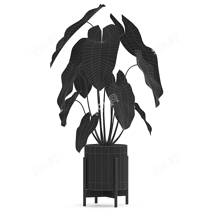 Botanical Oasis Collection 3D model image 3