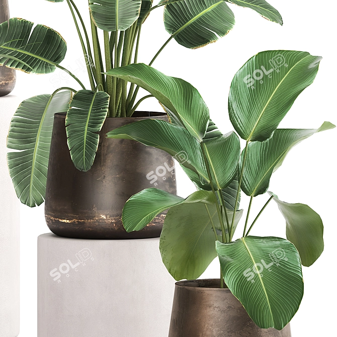 Exotic Plant Collection: Metal Pots & Decorative Vases 3D model image 4