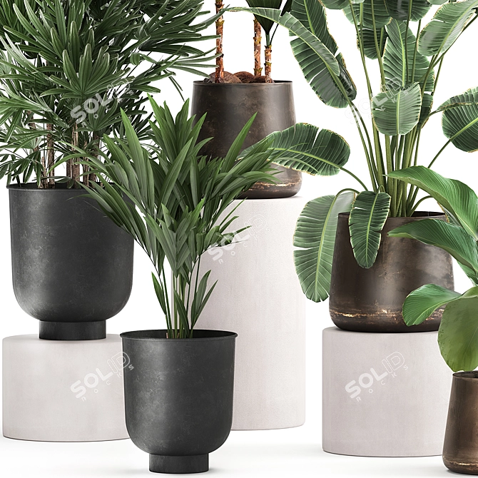 Exotic Plant Collection: Metal Pots & Decorative Vases 3D model image 5