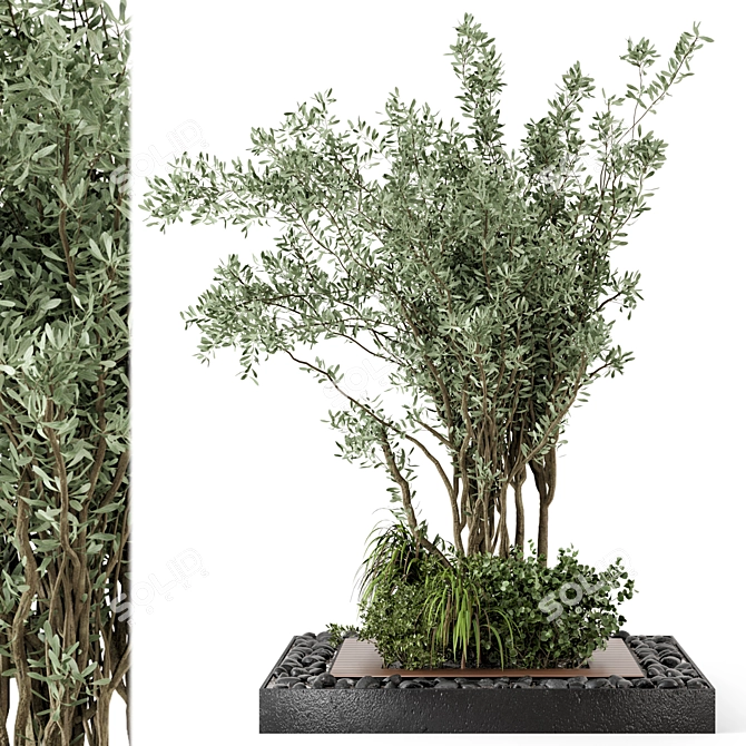 Outdoor Garden Set with Bush and Tree - 136 Varieties 3D model image 1