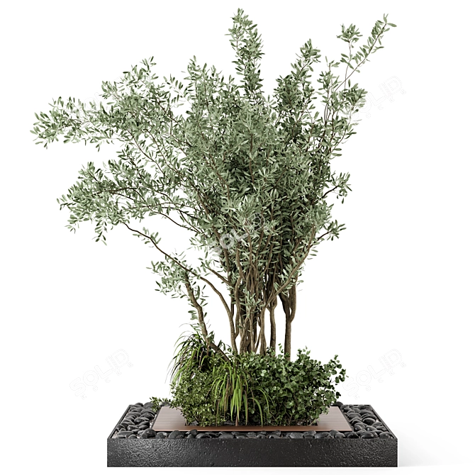 Outdoor Garden Set with Bush and Tree - 136 Varieties 3D model image 5