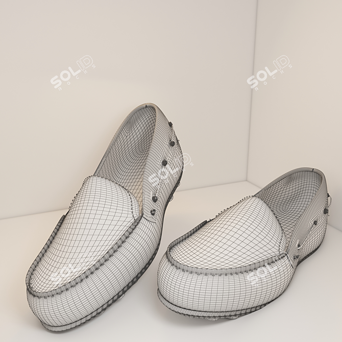 Stylish 2012 Shoe: 24cm x 31cm x 9.2cm 3D model image 2