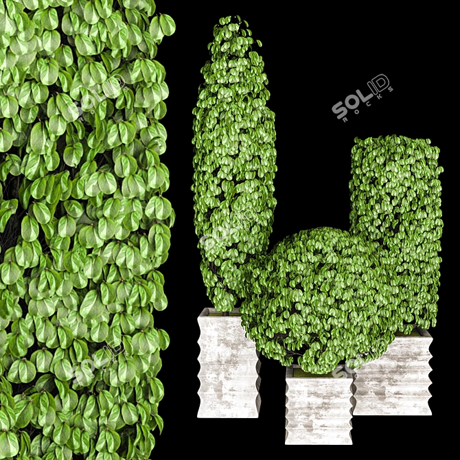 Outdoor Greenery Collection 3D model image 1