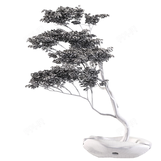 Polys Bonsai Set: 953,123 3D model image 3