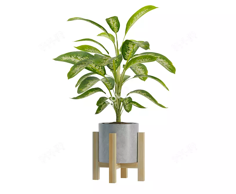 Exotic Indoor Plant Trio 3D model image 4