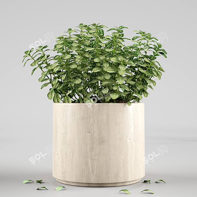 Modern Plant Decor: 22.89cm x 22.11cm x 24.49cm 3D model image 1