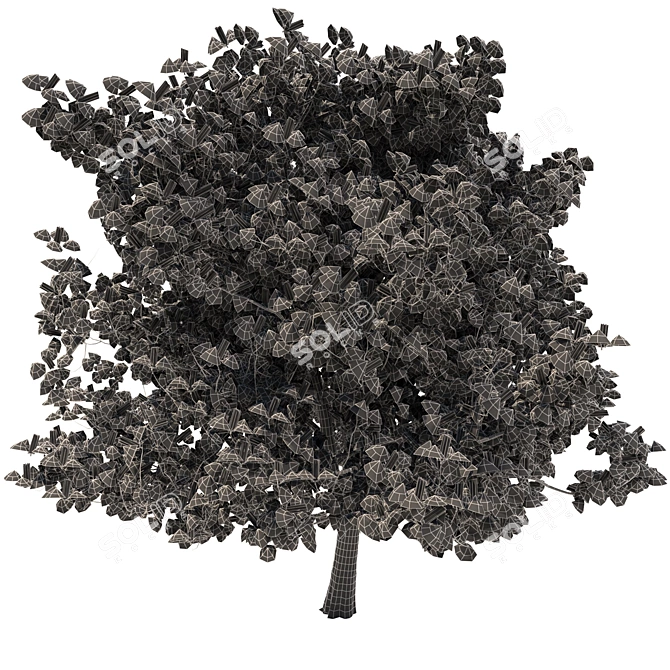 Majestic Chestnut Tree - 3D Model 3D model image 7