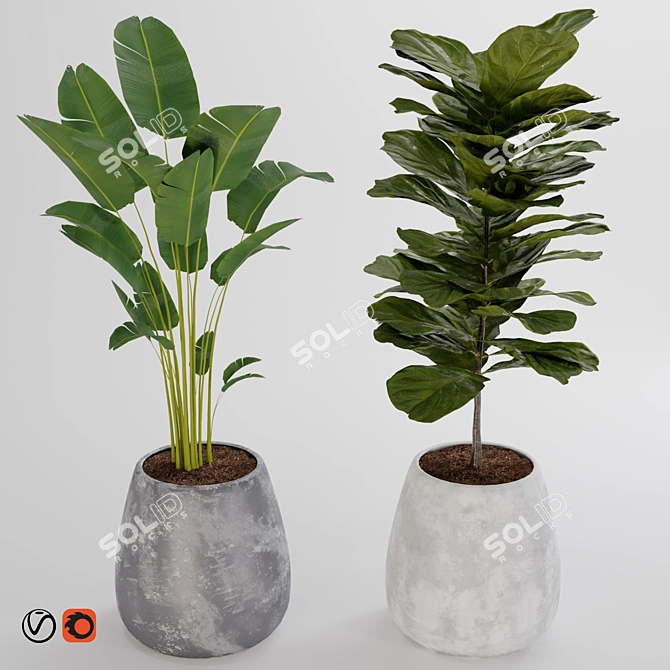 Title: Boho Chic Plant Collection 3D model image 5