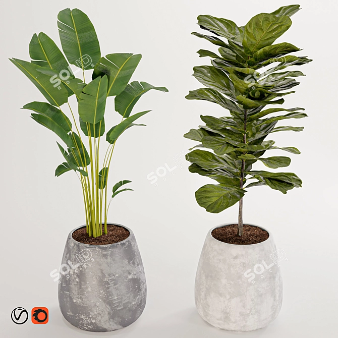 Title: Boho Chic Plant Collection 3D model image 6