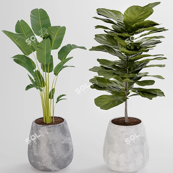 Title: Boho Chic Plant Collection 3D model image 9