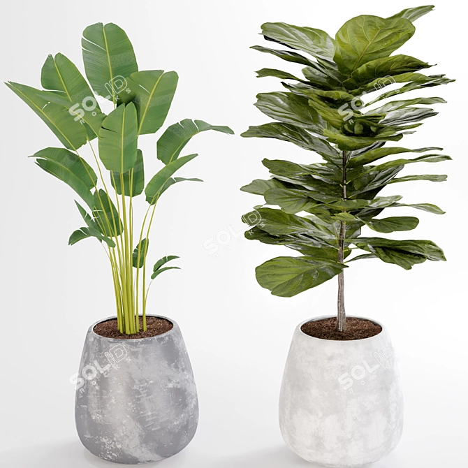 Title: Boho Chic Plant Collection 3D model image 10