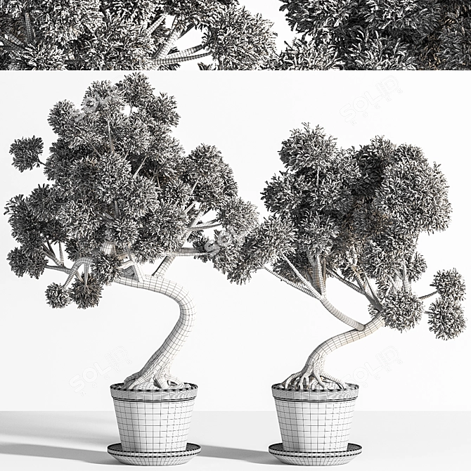 Breathtaking Bonsai - Plant 04 3D model image 5