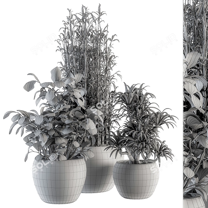 Green Oasis: Indoor Plant Set 3D model image 4