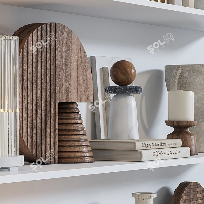Elevate Your Shelves 3D model image 4