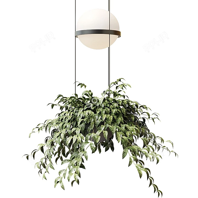 Palma Pendant Lamp: Elegant Illumination with a Touch of Nature 3D model image 2