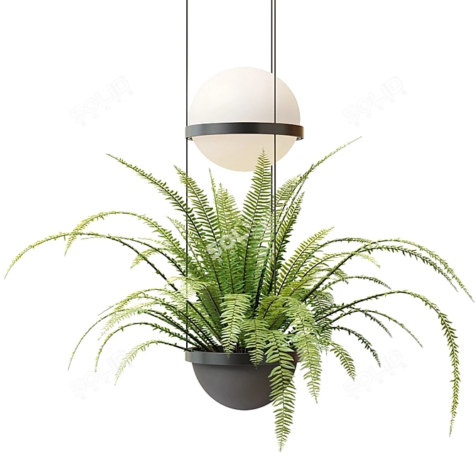 Palma Pendant Lamp: Elegant Illumination with a Touch of Nature 3D model image 4