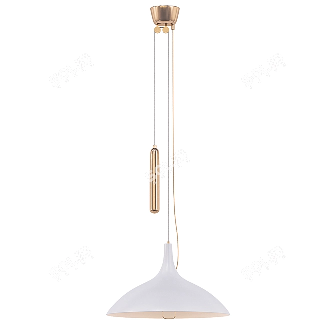 Modern Elegance: A1965 Pendant Lamp 3D model image 1