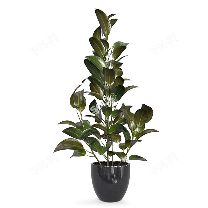 Green Oasis Indoor Plant Set 3D model image 2