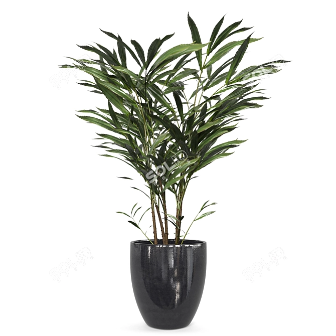 Green Oasis Indoor Plant Set 3D model image 3