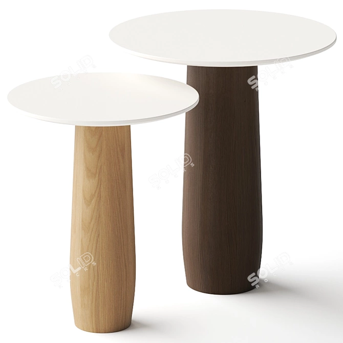 Minimalist Wood Side Tables 3D model image 1