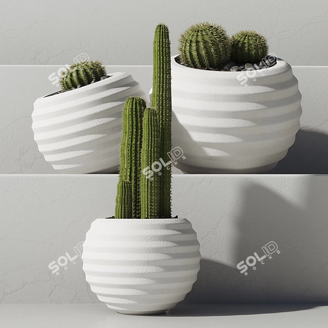 52-Piece Concrete Vase Indoor Plant Collection 3D model image 2