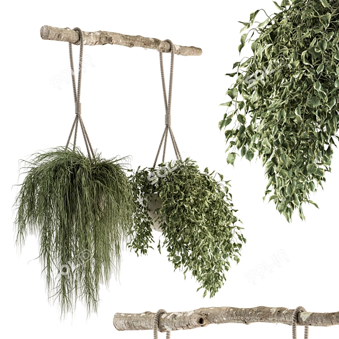 Botanical Bliss - Hanging Plant Set 3D model image 1