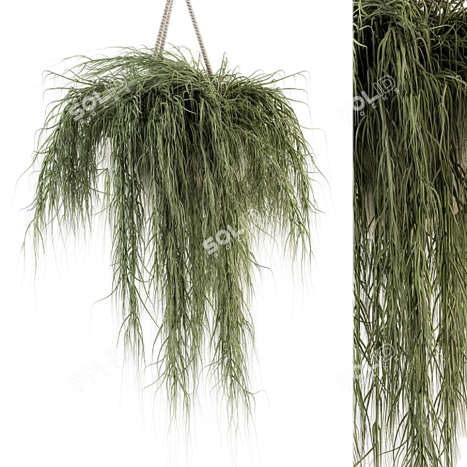 Botanical Bliss - Hanging Plant Set 3D model image 4