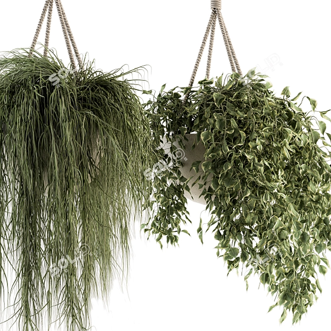 Botanical Bliss - Hanging Plant Set 3D model image 6