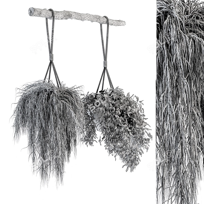 Botanical Bliss - Hanging Plant Set 3D model image 7