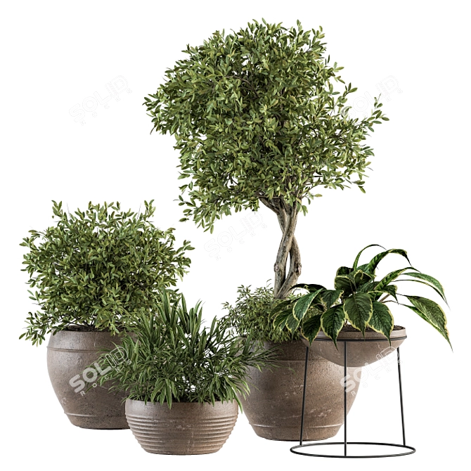 Garden Greenery Set - Potted Plants 3D model image 1