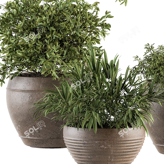 Garden Greenery Set - Potted Plants 3D model image 2