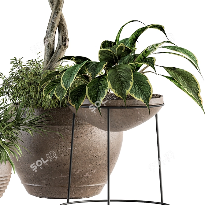 Garden Greenery Set - Potted Plants 3D model image 3