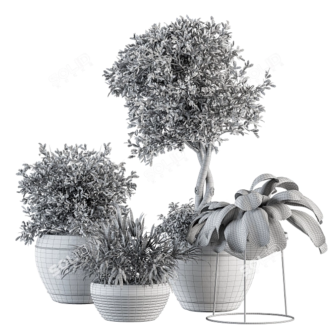 Garden Greenery Set - Potted Plants 3D model image 5