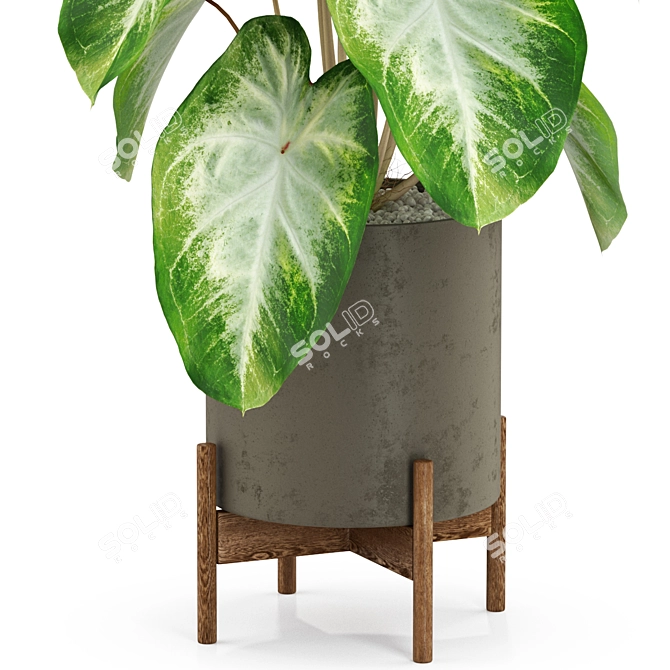 Botanical Bliss: 527 Green Marvels 3D model image 2