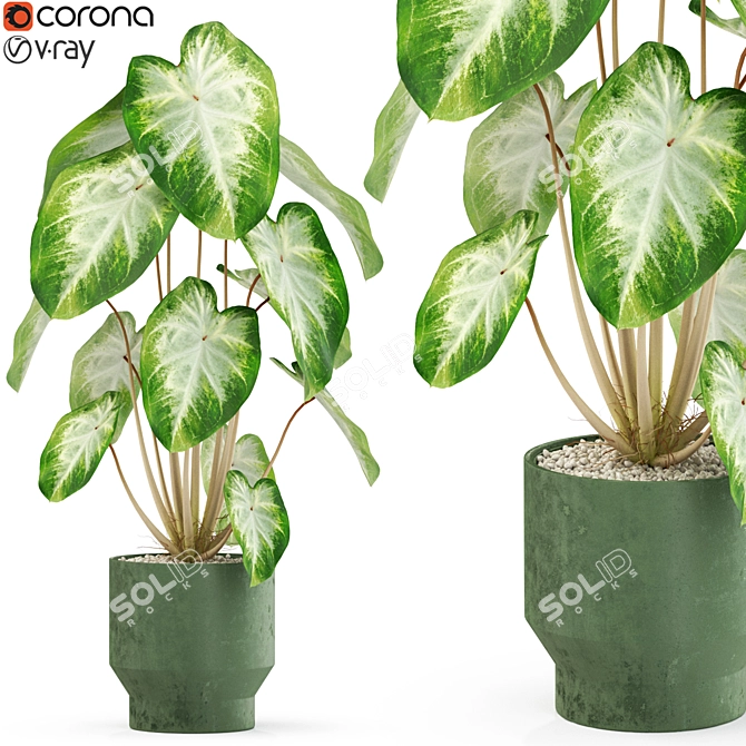 Exquisite Flora: Plants Collection 3D model image 1